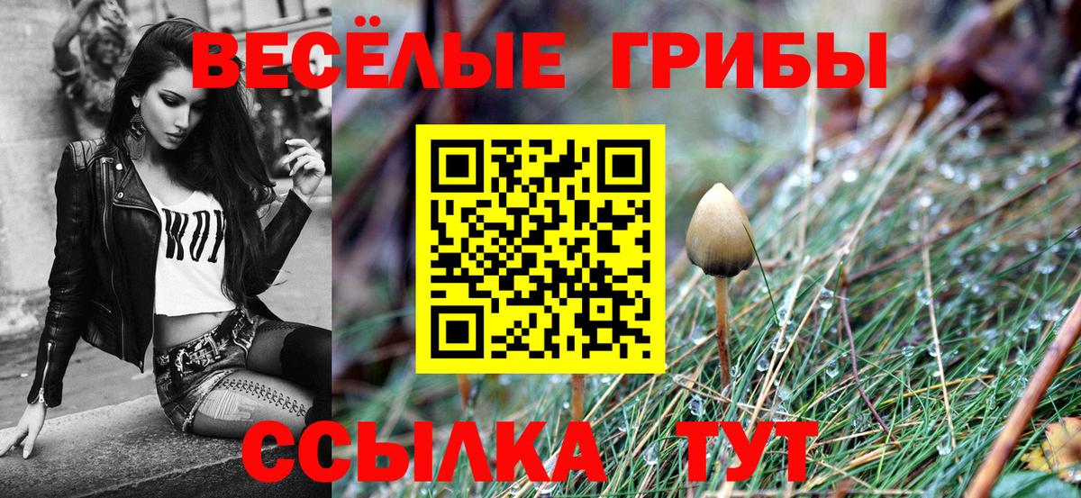 Галлюциногенные грибы Magic Shrooms Пятигорск