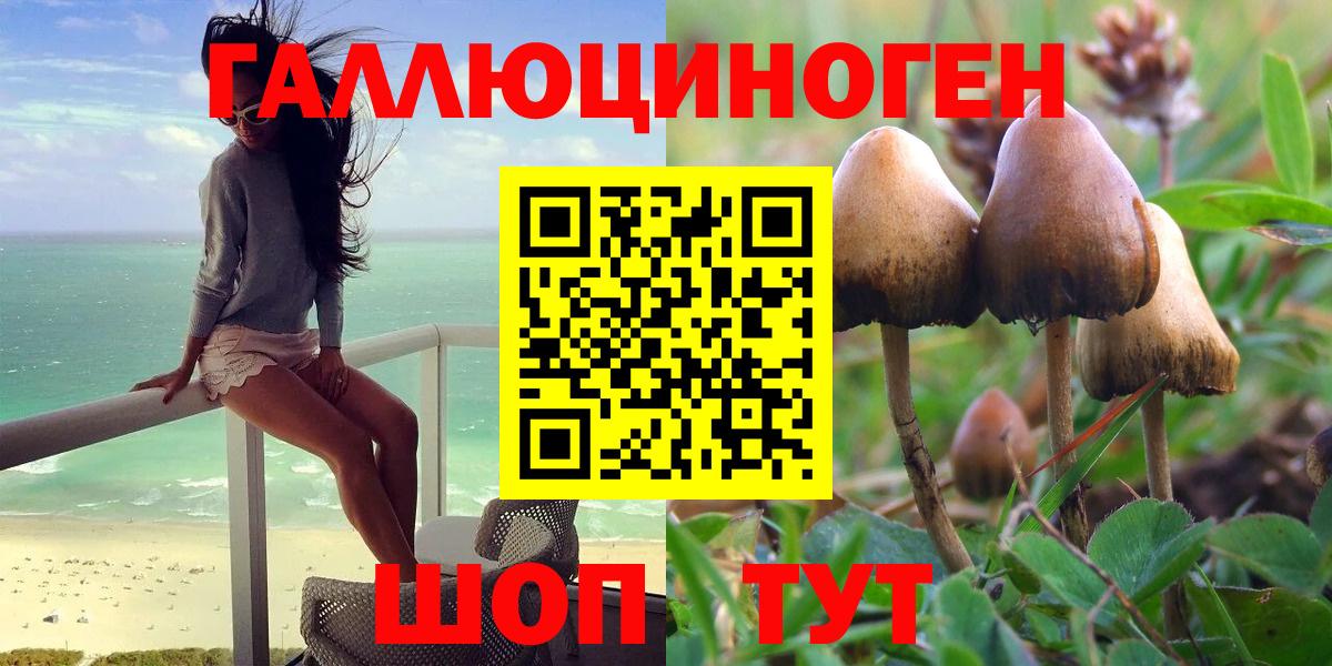 Пятигорск  Галлюциногенные грибы Magic Shrooms  Вход с VPN 